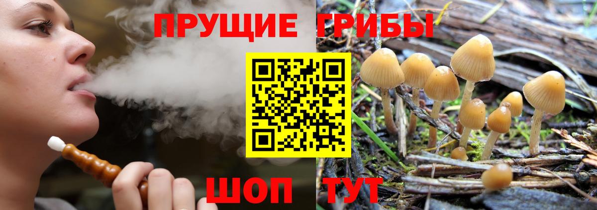Псилоцибиновые грибы Psilocybine cubensis  Галлюциногенные грибы GOLDEN TEACHER  Вход с VPN  Унеча 